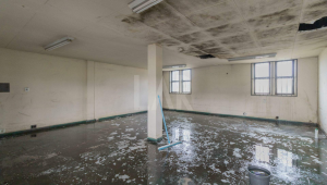 Sala para alugar, Camargos, Belo Horizonte - MG