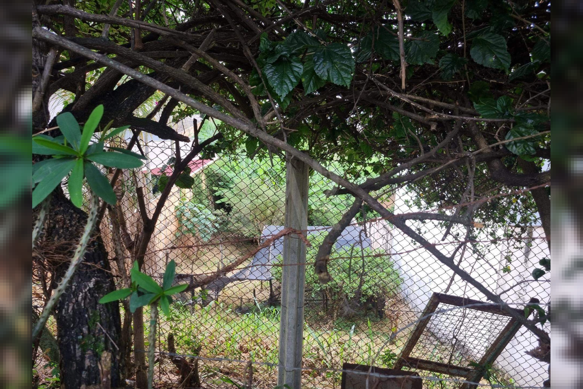 Lote - Terreno à venda, Santa Lúcia, Belo Horizonte - MG