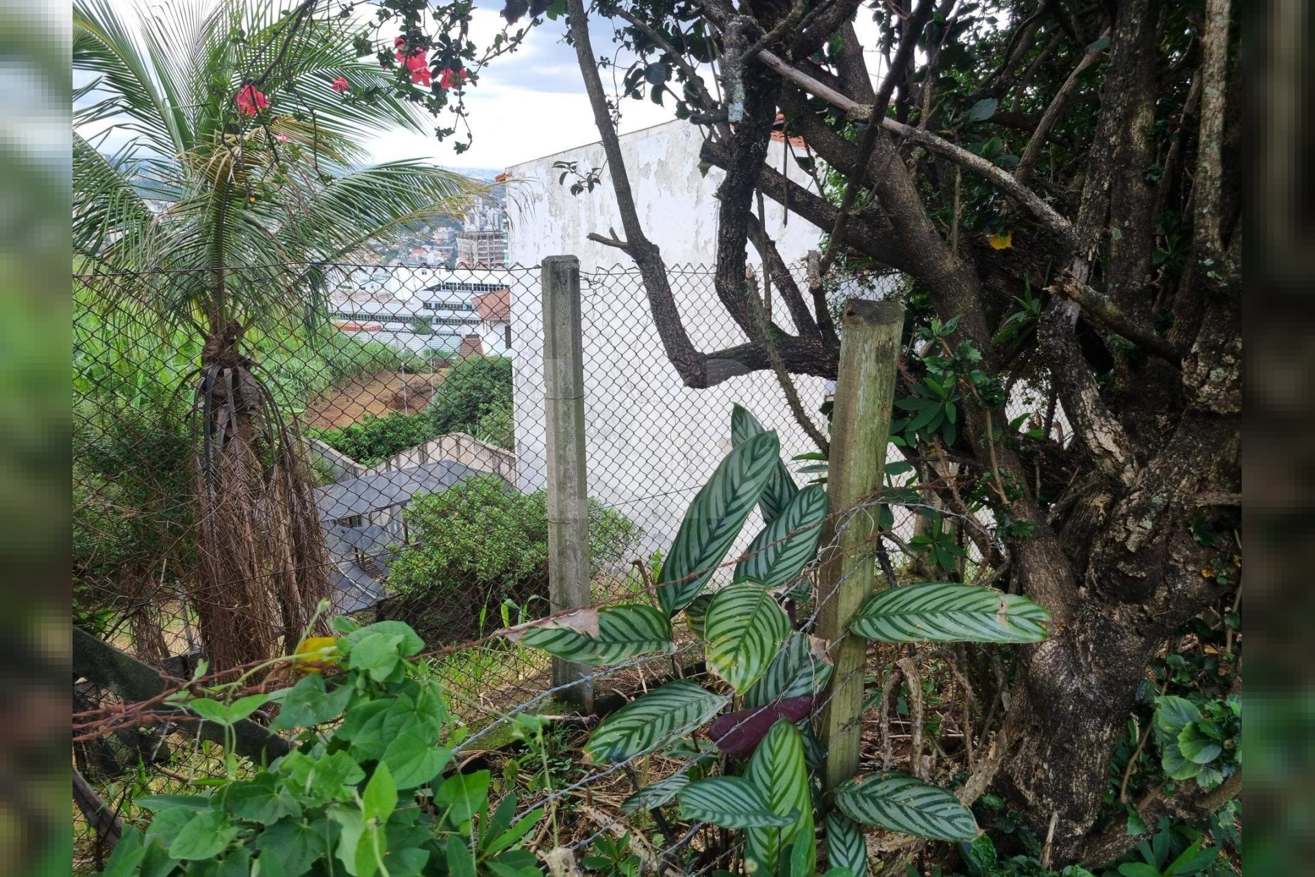 Lote - Terreno à venda, Santa Lúcia, Belo Horizonte - MG