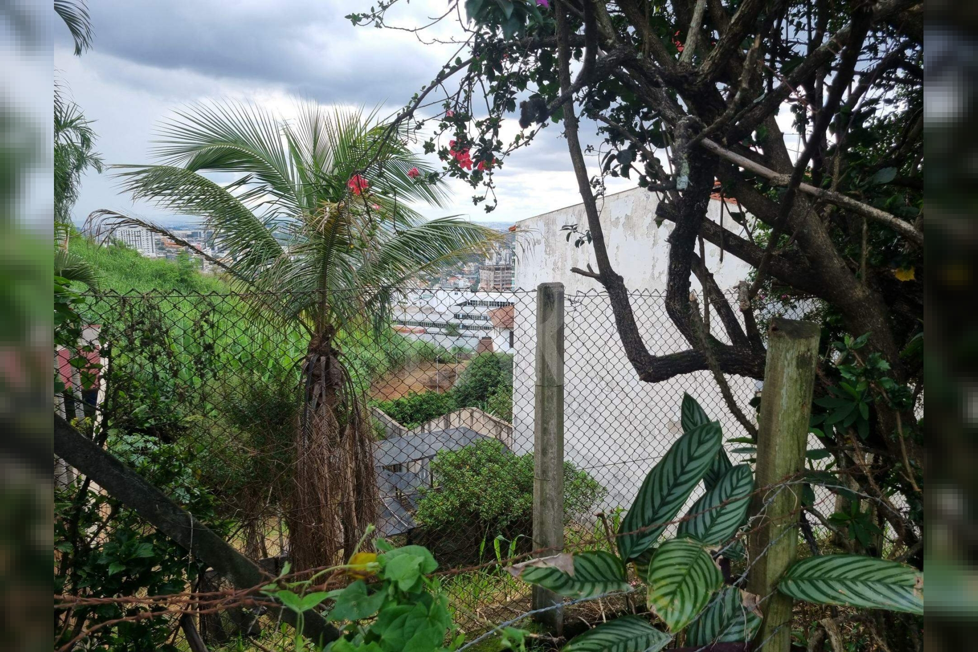 Lote - Terreno à venda, Santa Lúcia, Belo Horizonte - MG