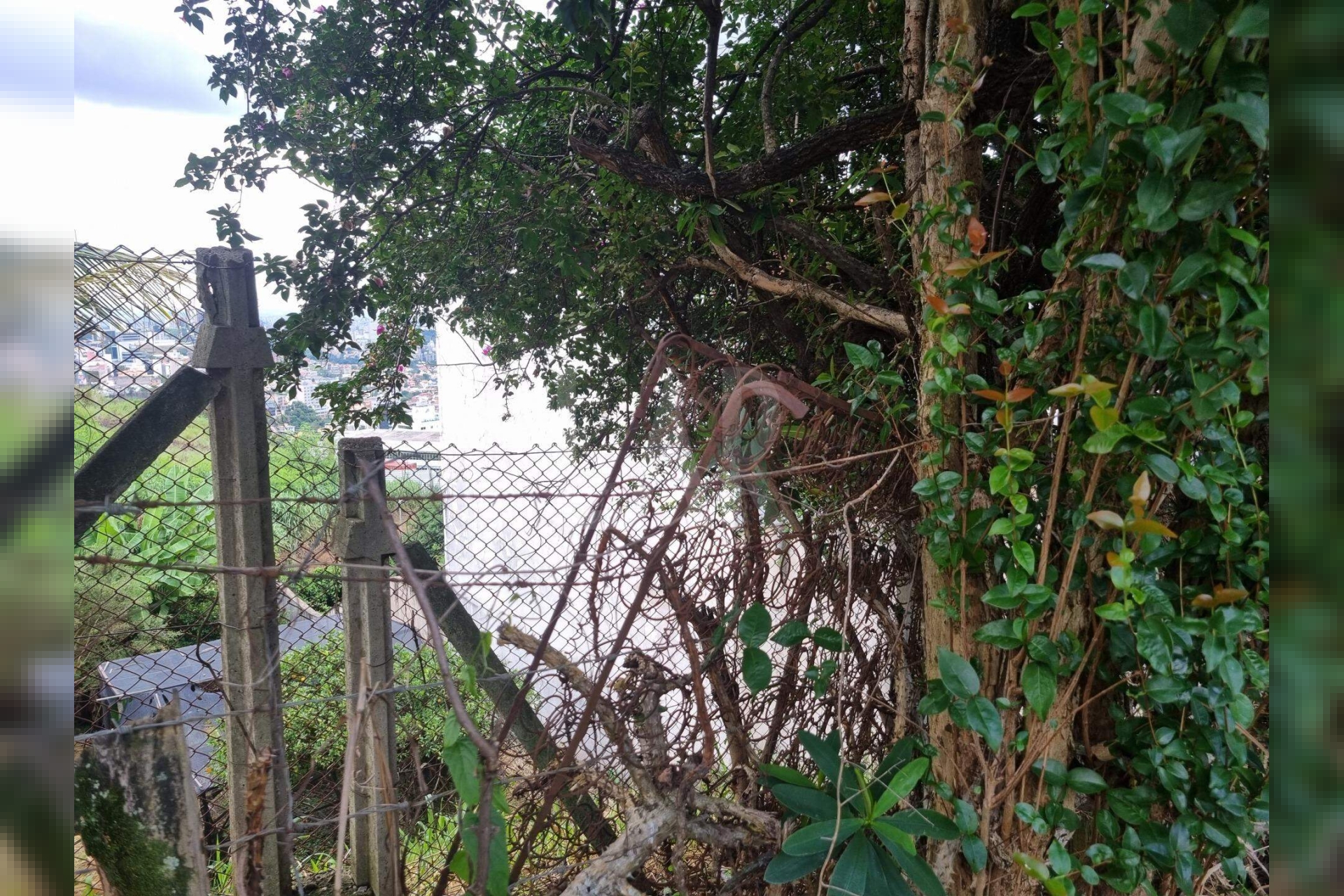 Lote - Terreno à venda, Santa Lúcia, Belo Horizonte - MG