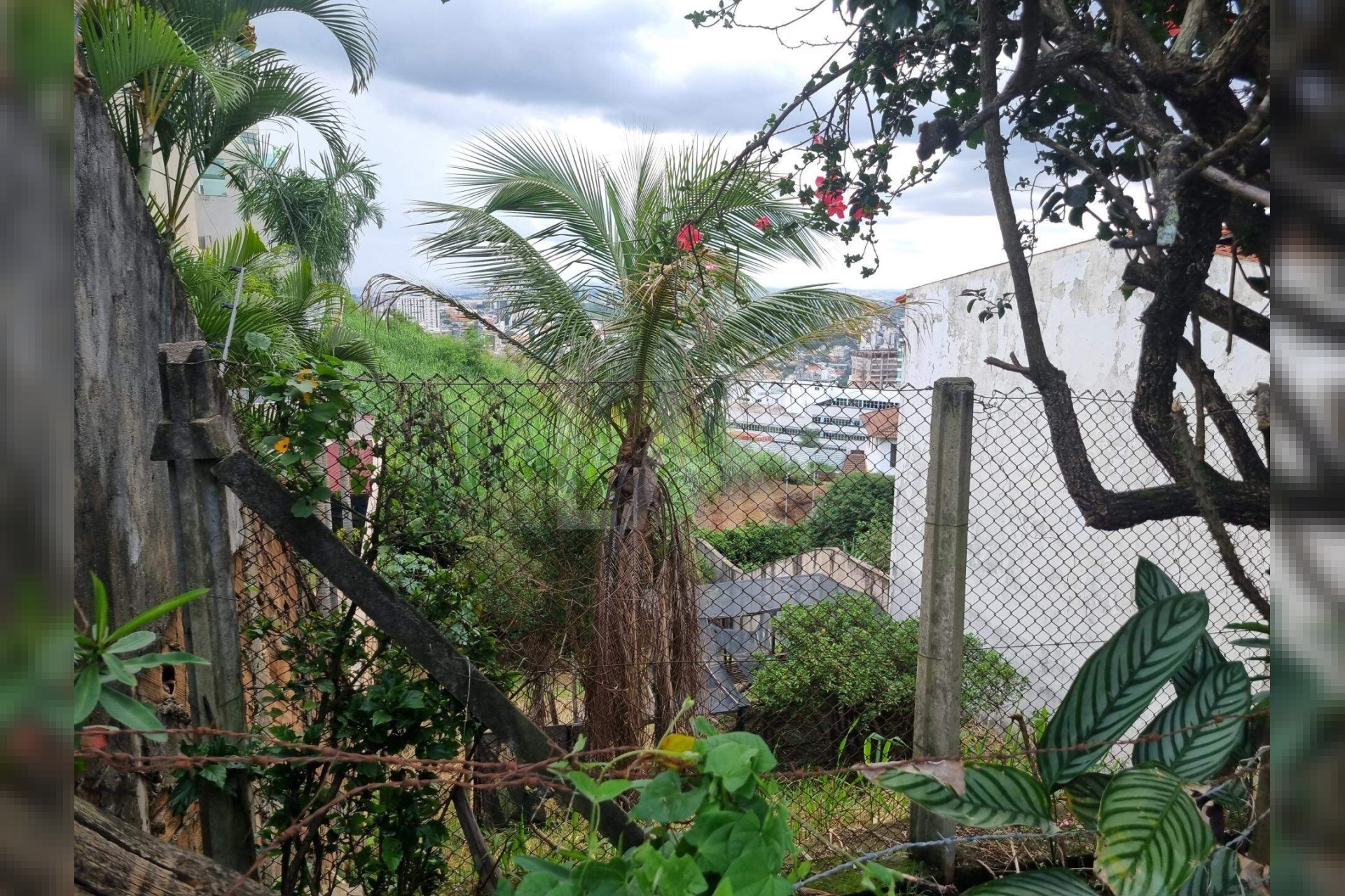 Lote - Terreno à venda, Santa Lúcia, Belo Horizonte - MG