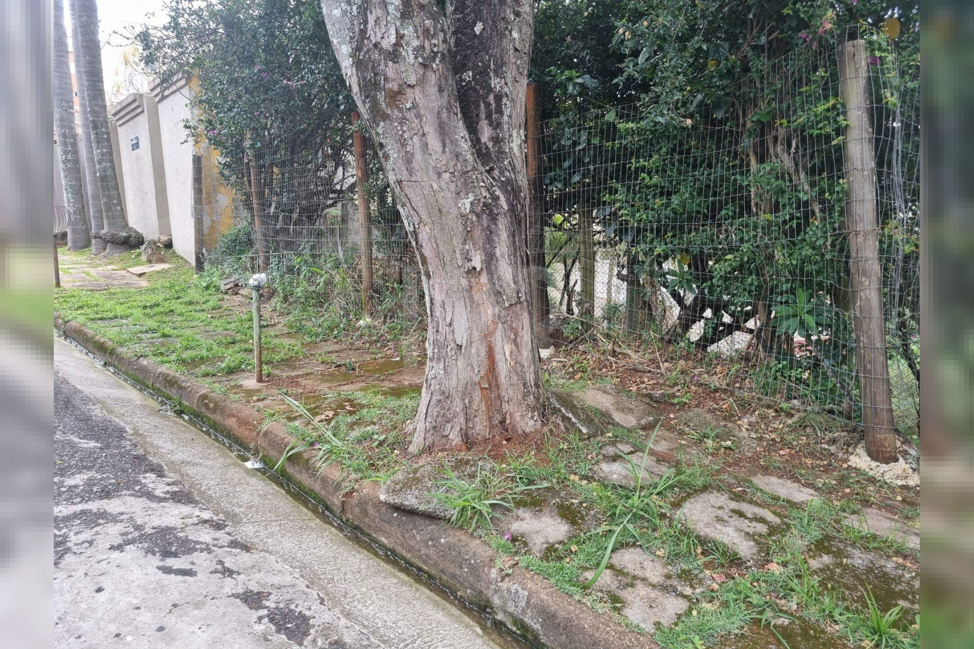 Lote - Terreno à venda, Santa Lúcia, Belo Horizonte - MG