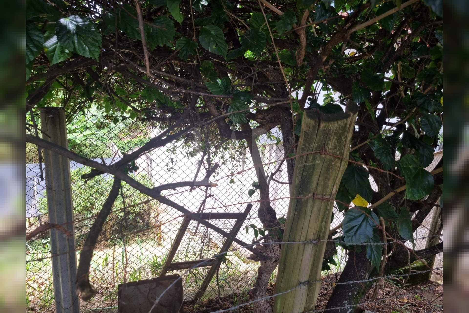 Lote - Terreno à venda, Santa Lúcia, Belo Horizonte - MG