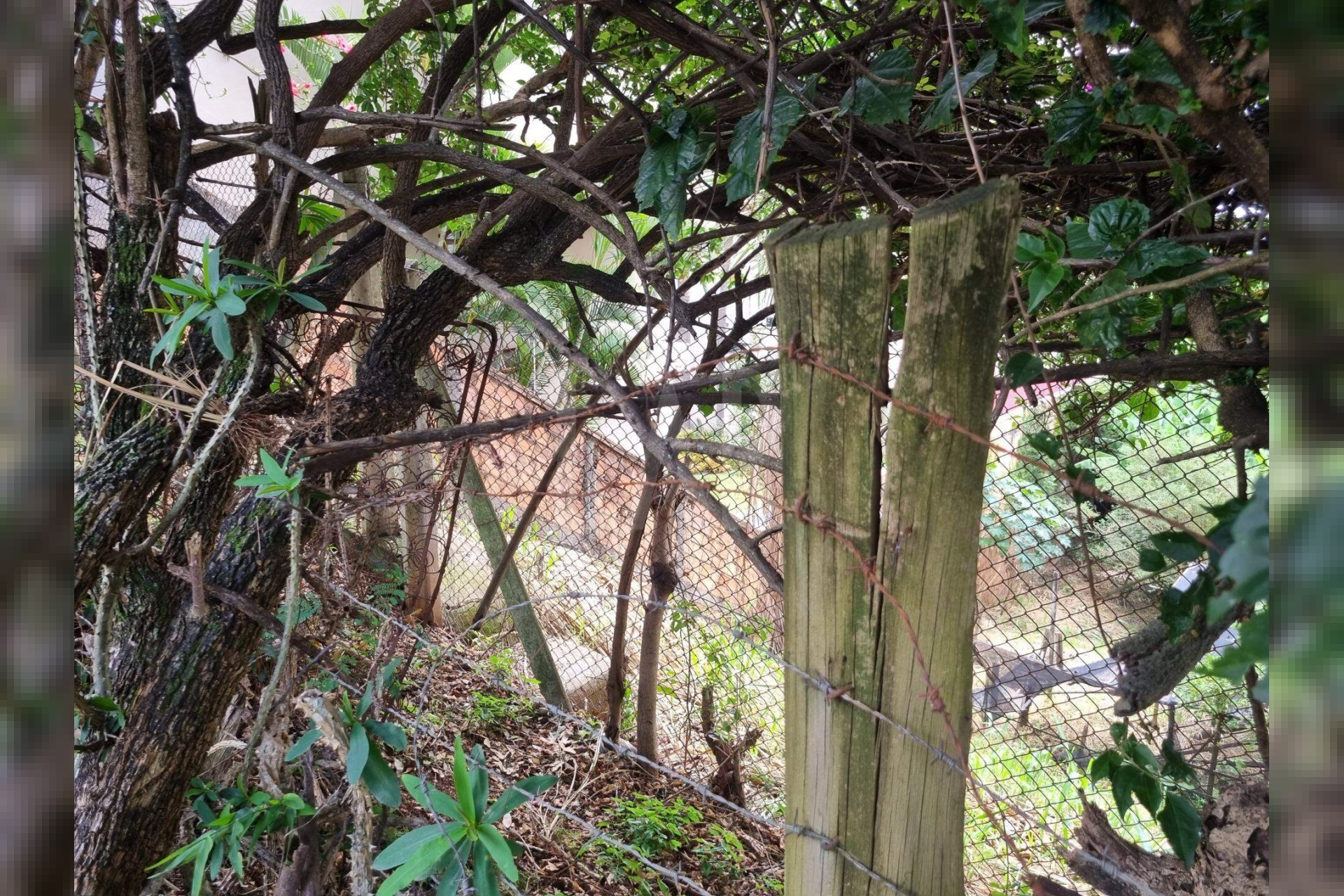 Lote - Terreno à venda, Santa Lúcia, Belo Horizonte - MG