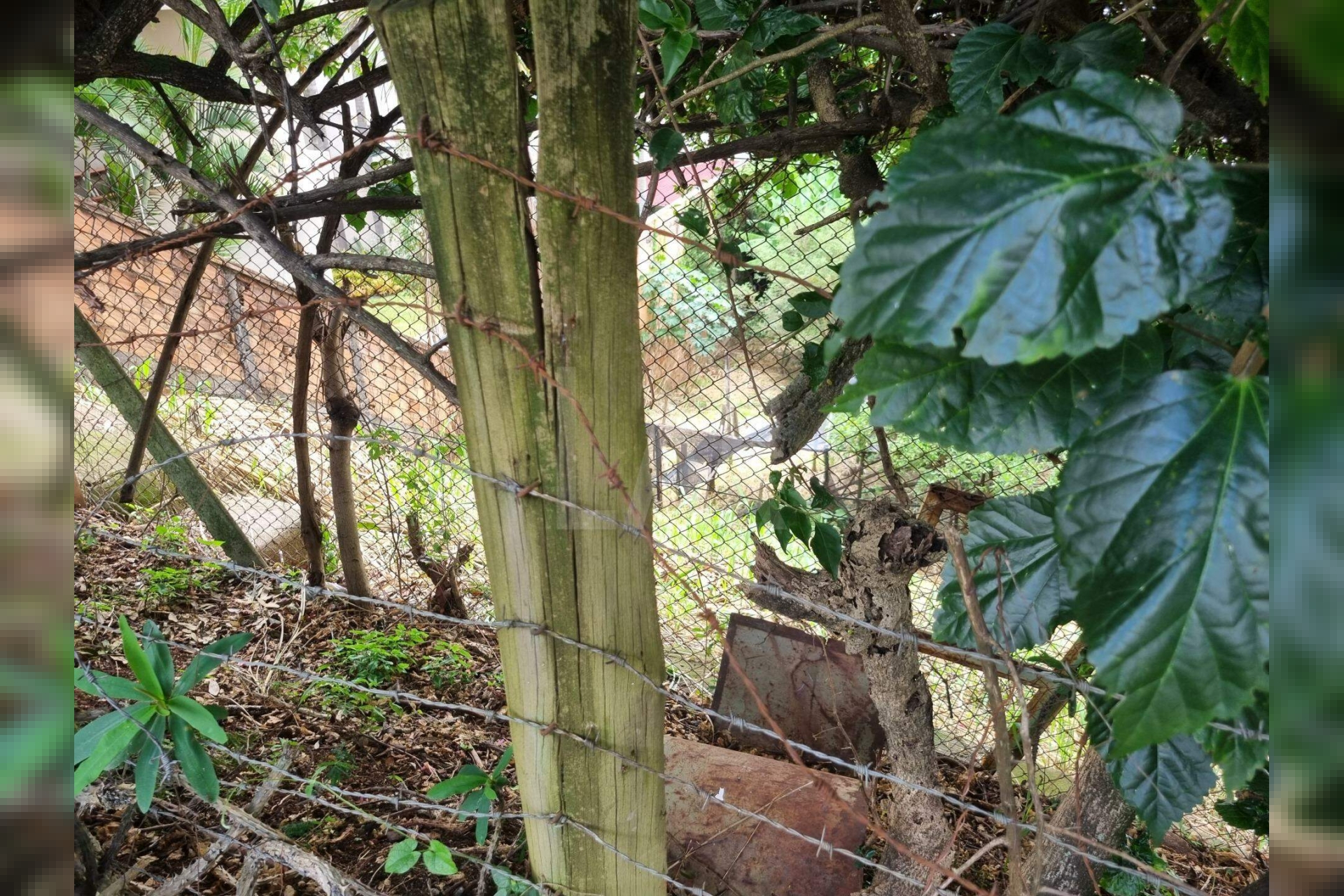 Lote - Terreno à venda, Santa Lúcia, Belo Horizonte - MG
