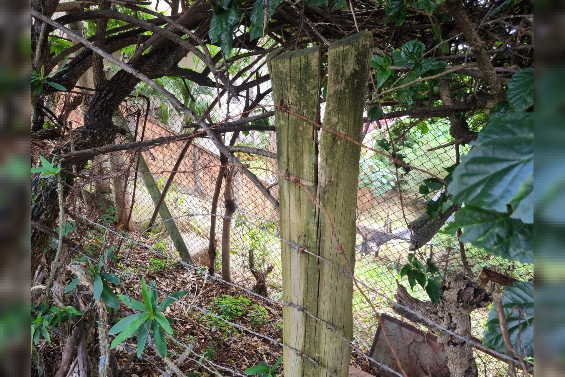 Lote - Terreno à venda, Santa Lúcia, Belo Horizonte - MG