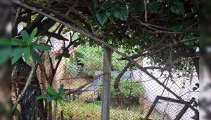 Lote - Terreno à venda, Santa Lúcia, Belo Horizonte - MG