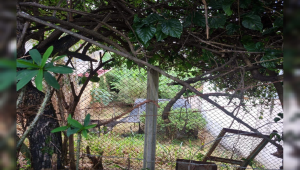Lote - Terreno à venda, Santa Lúcia, Belo Horizonte - MG