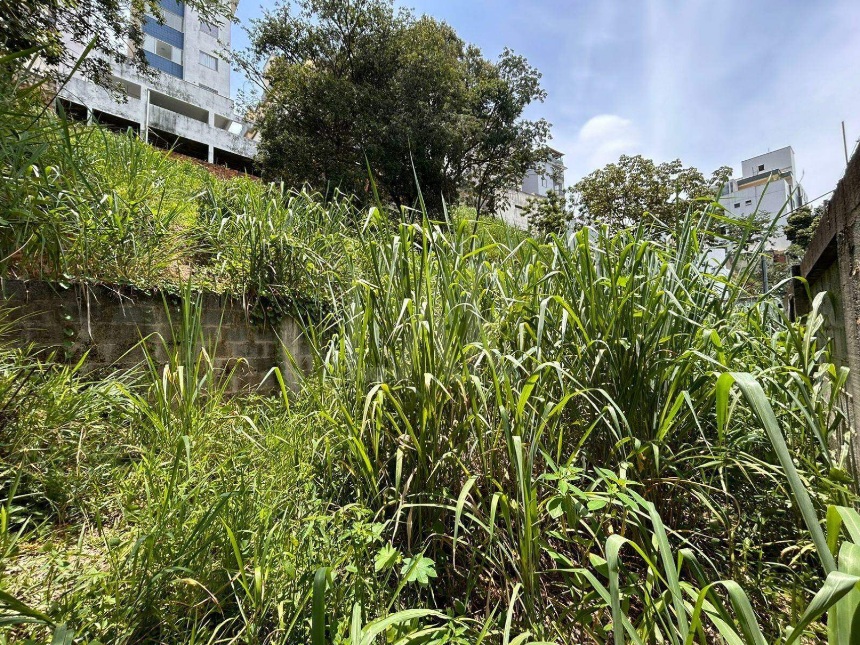 Lote - Terreno à venda, Ouro Preto, Belo Horizonte - MG