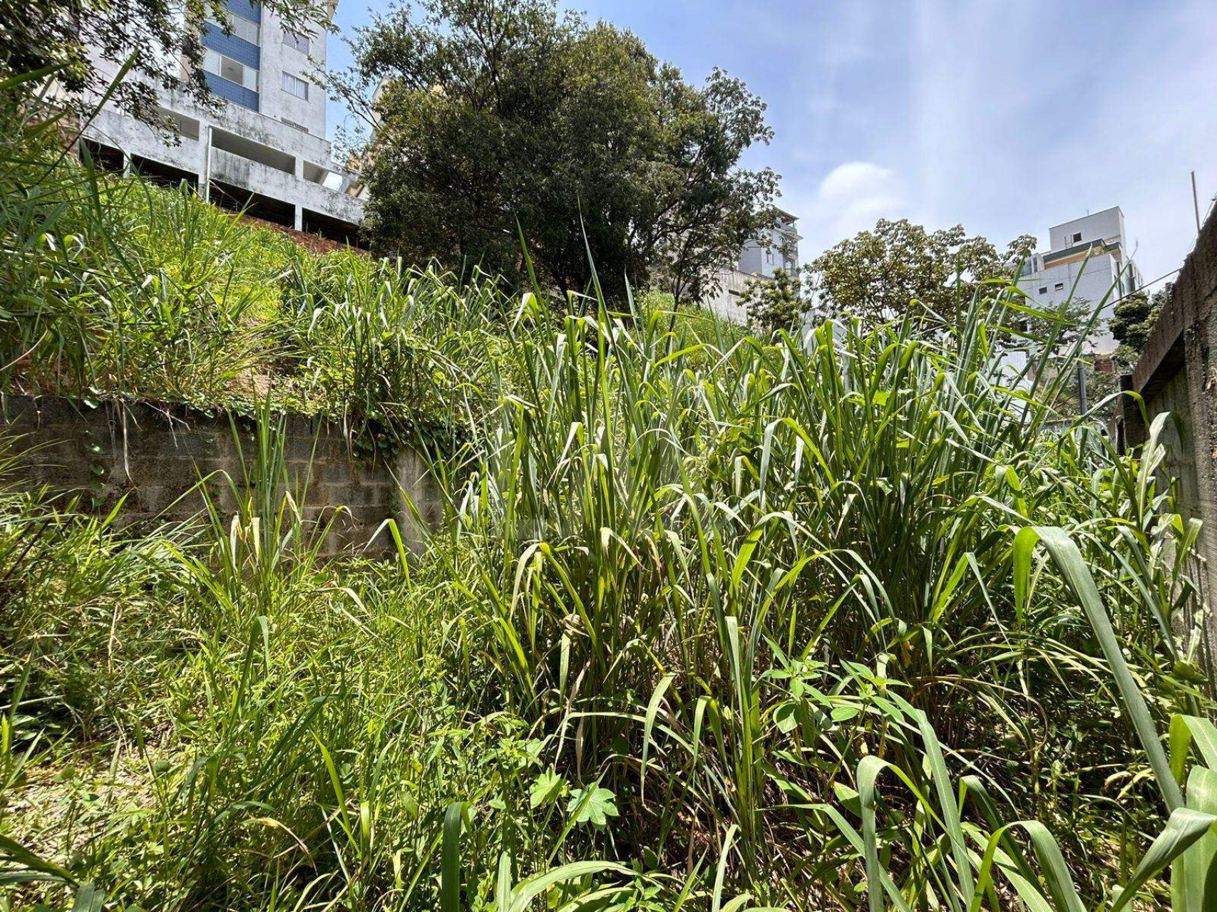 Lote - Terreno à venda, Ouro Preto, Belo Horizonte - MG