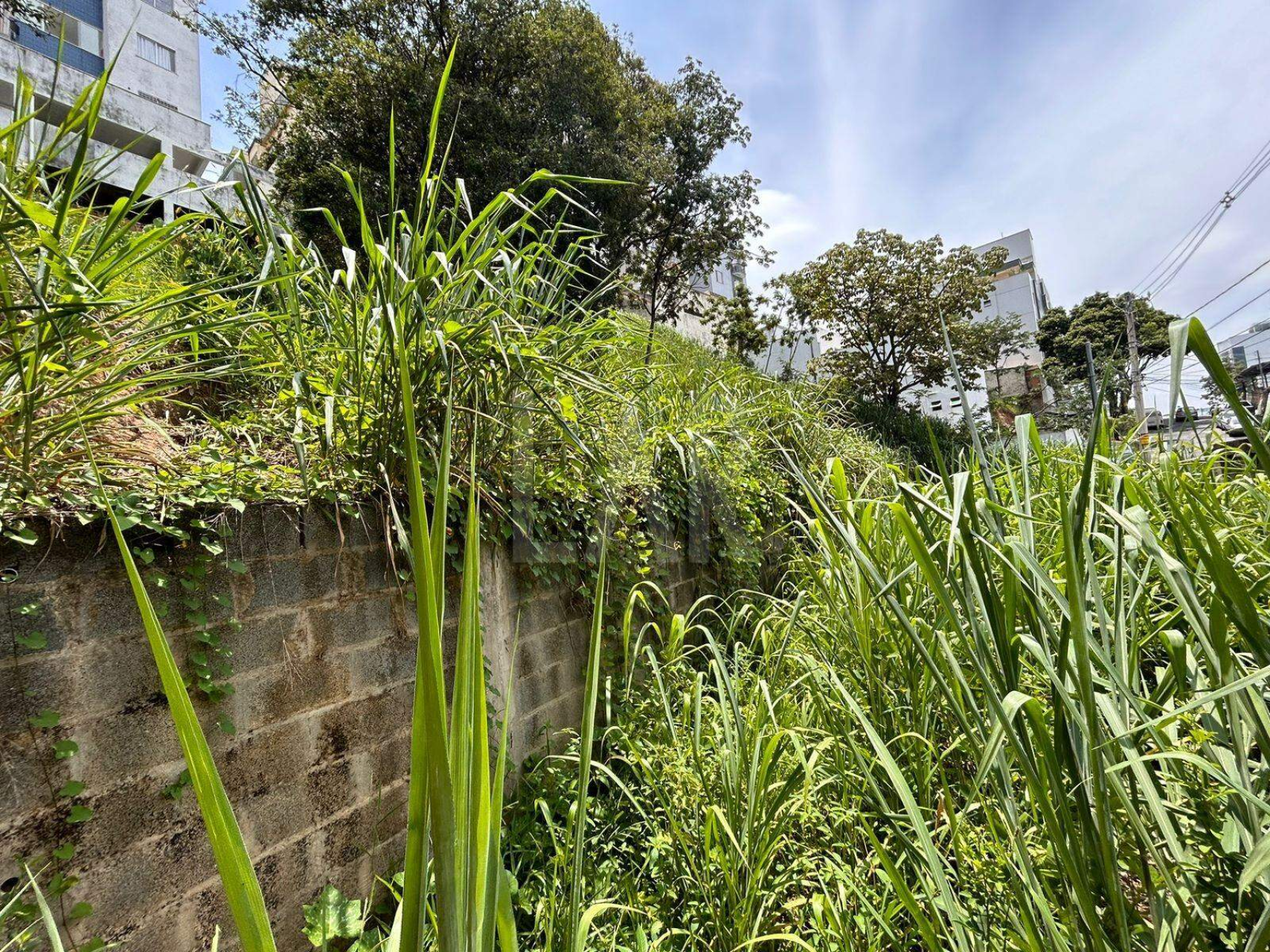 Lote - Terreno à venda, Ouro Preto, Belo Horizonte - MG
