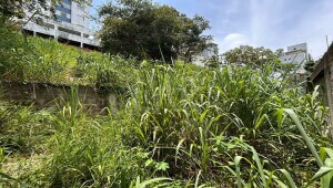 Lote - Terreno à venda, Ouro Preto, Minas Gerais - MG