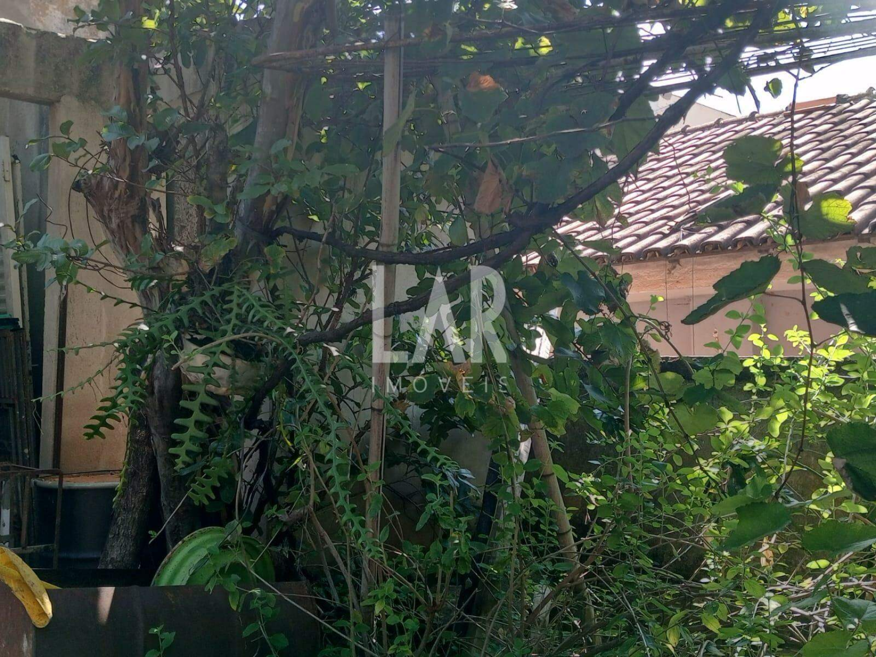 Lote - Terreno à venda, Sagrada Família, Belo Horizonte - MG
