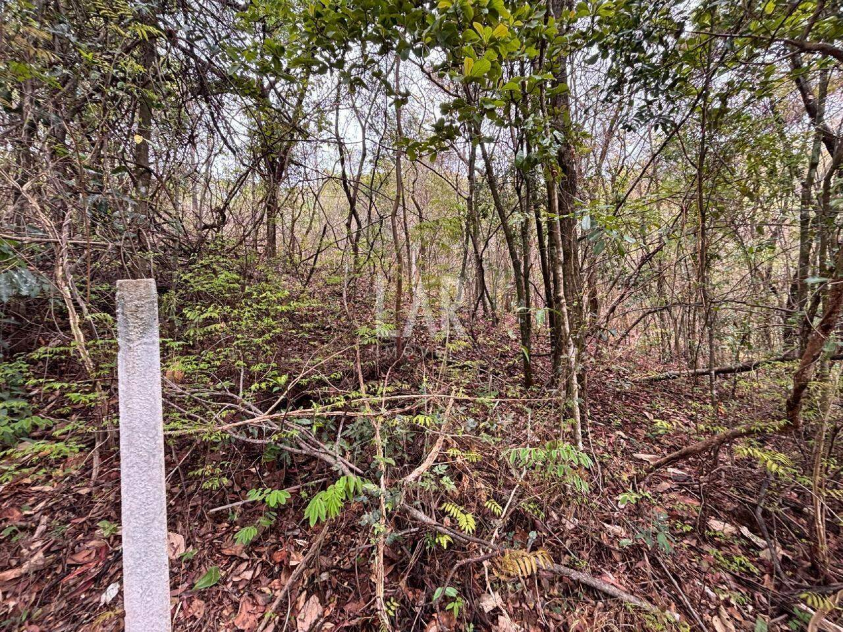 Lote em Condomínio à venda, Veredas das Geraes, Nova Lima - MG