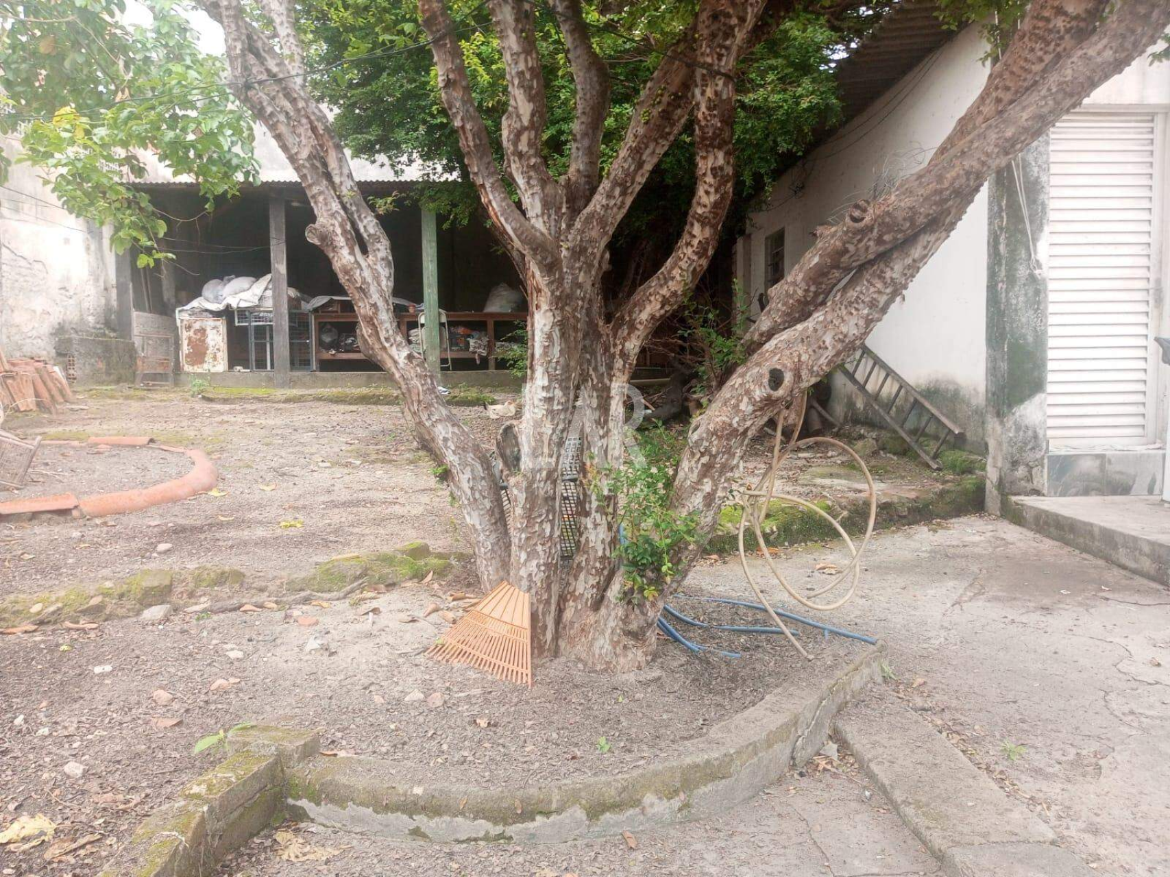 Lote - Terreno à venda, Prado, Belo Horizonte - MG