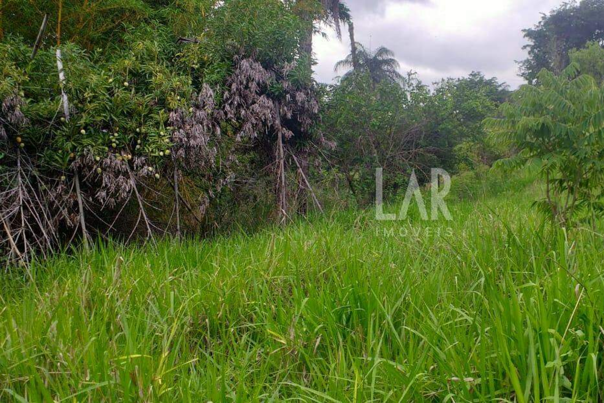 Lote - Terreno à venda, Bicas, Santa Luzia - MG