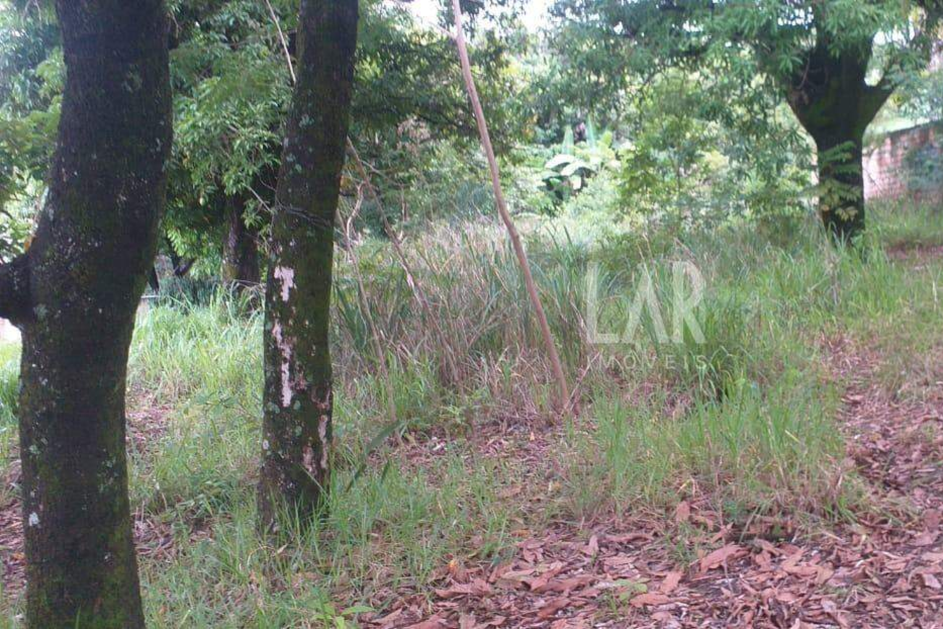 Lote - Terreno à venda, Bicas, Santa Luzia - MG