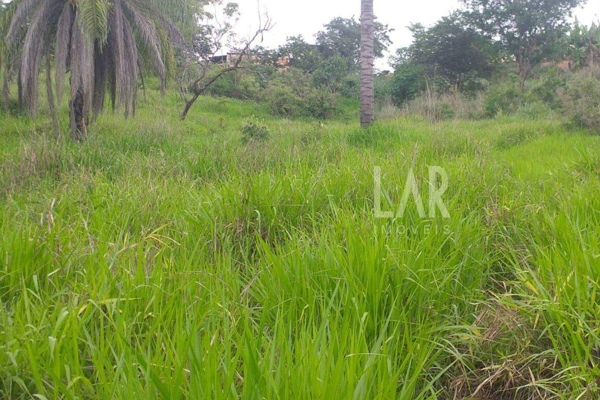 Lote - Terreno à venda, Bicas, Santa Luzia - MG
