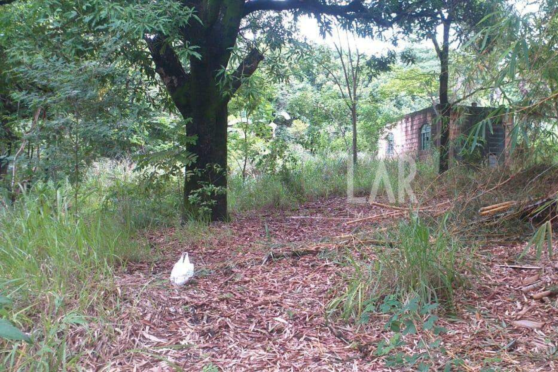 Lote - Terreno à venda, Bicas, Santa Luzia - MG