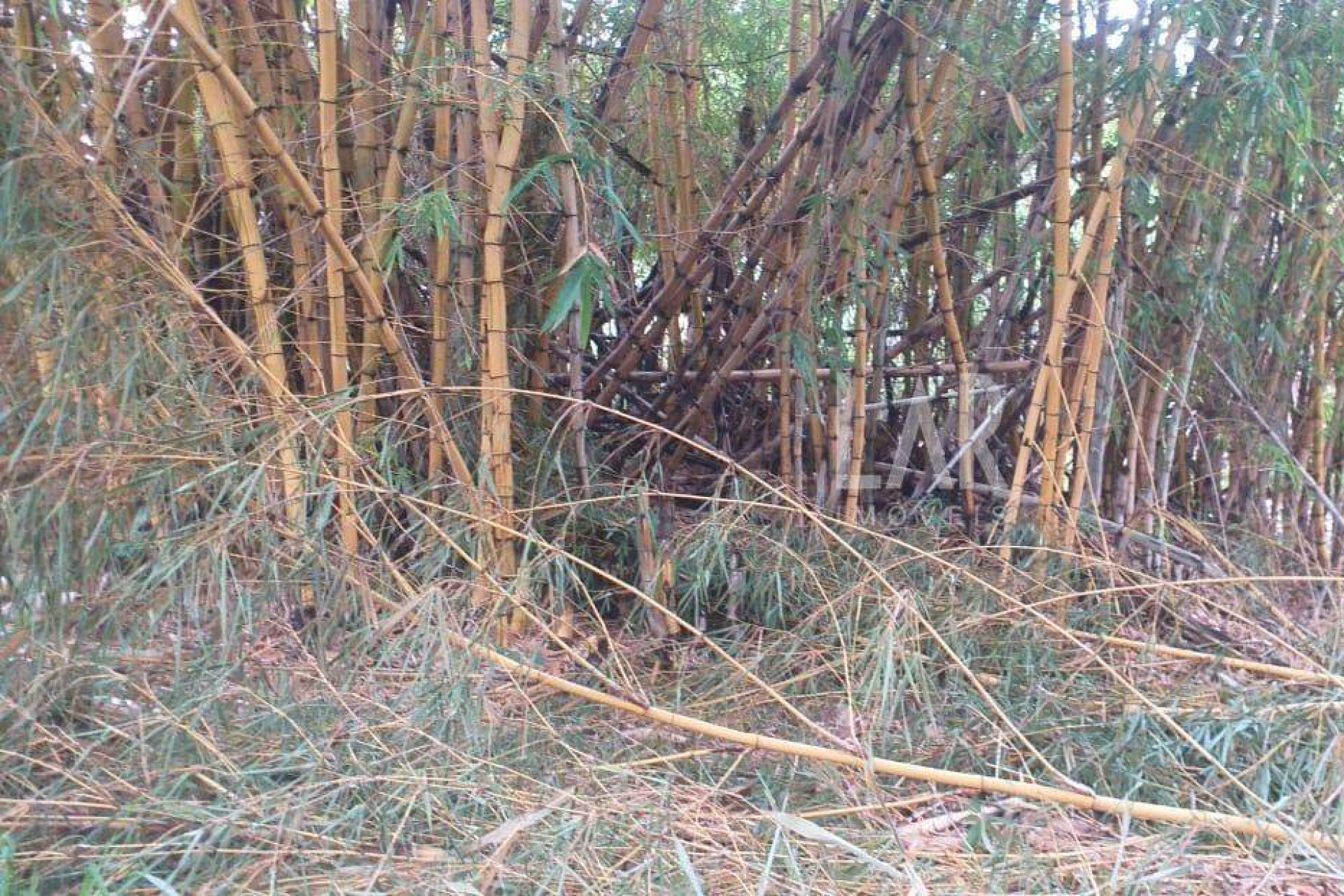 Lote - Terreno à venda, Bicas, Santa Luzia - MG