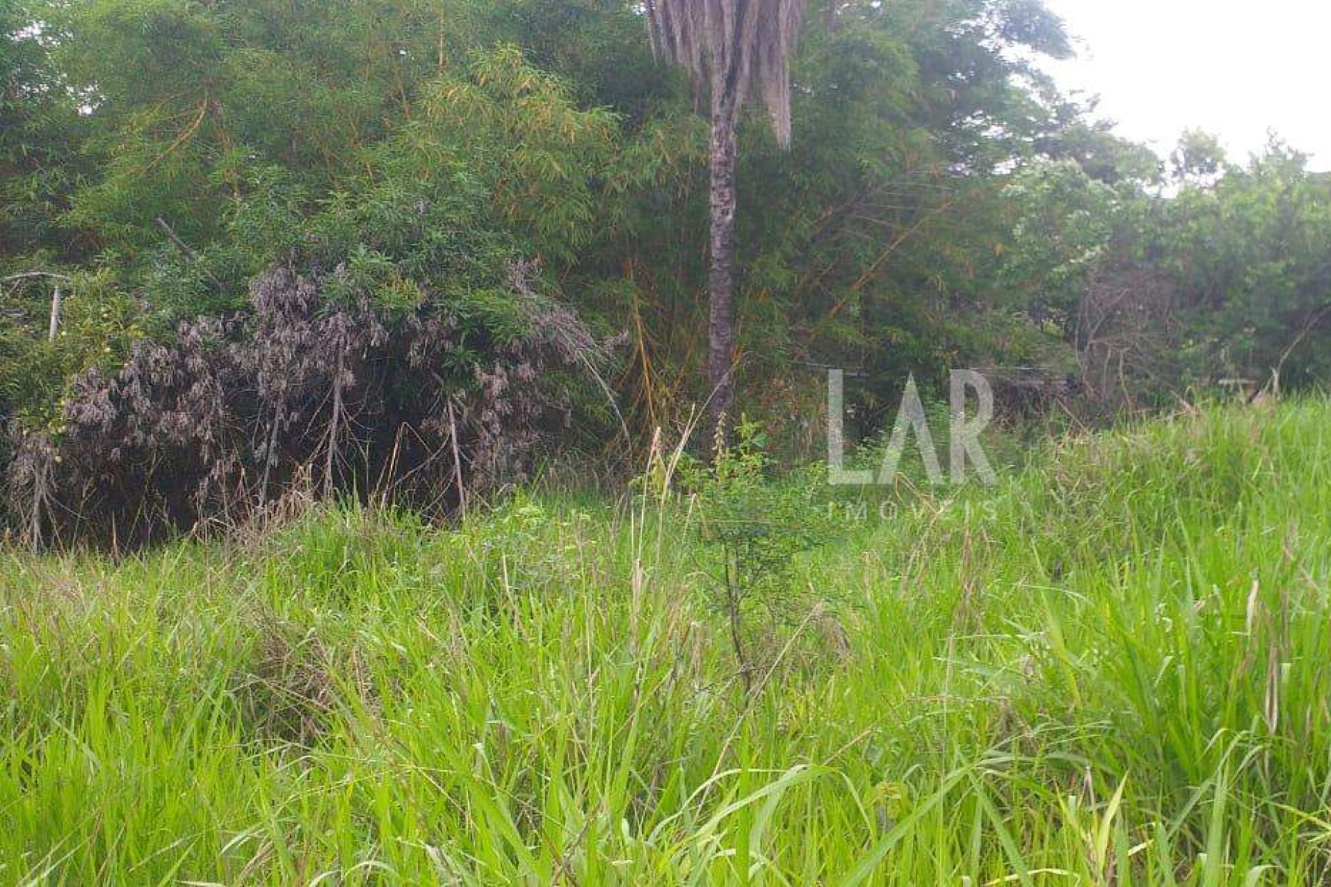 Lote - Terreno à venda, Bicas, Santa Luzia - MG