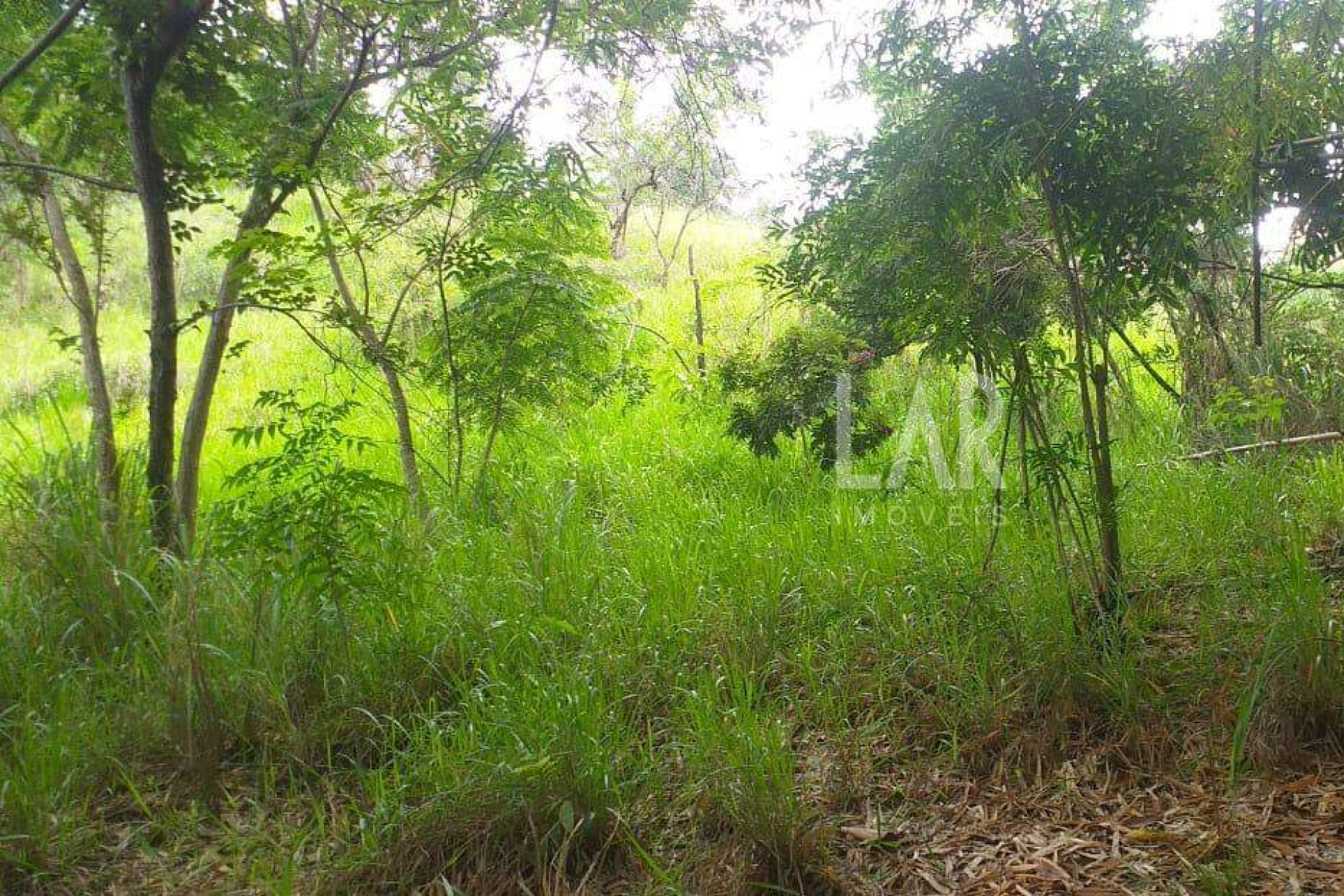 Lote - Terreno à venda, Bicas, Santa Luzia - MG