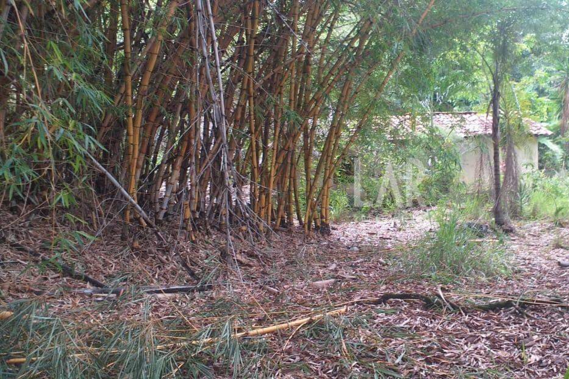 Lote - Terreno à venda, Bicas, Santa Luzia - MG