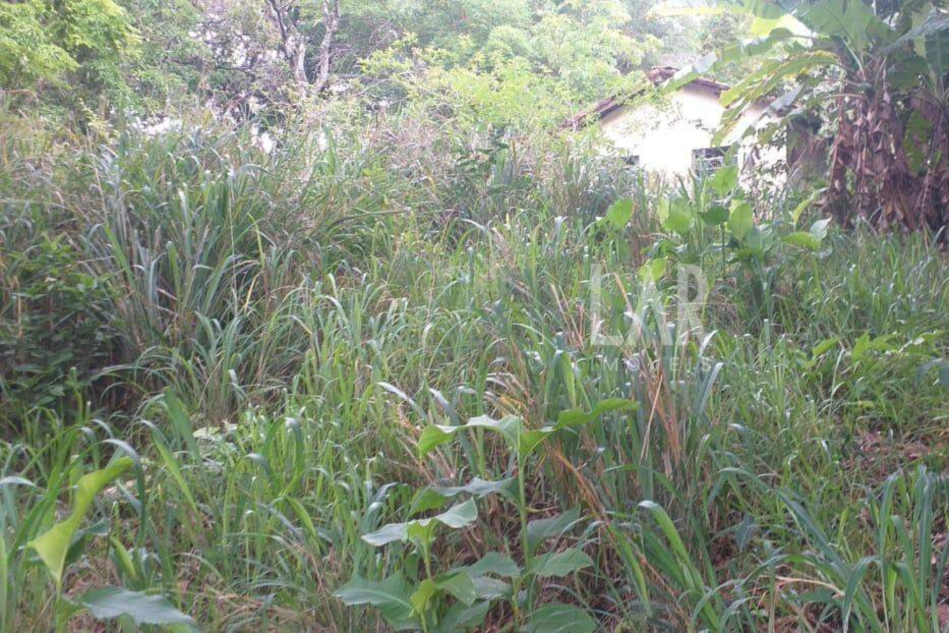 Lote - Terreno à venda, Bicas, Santa Luzia - MG