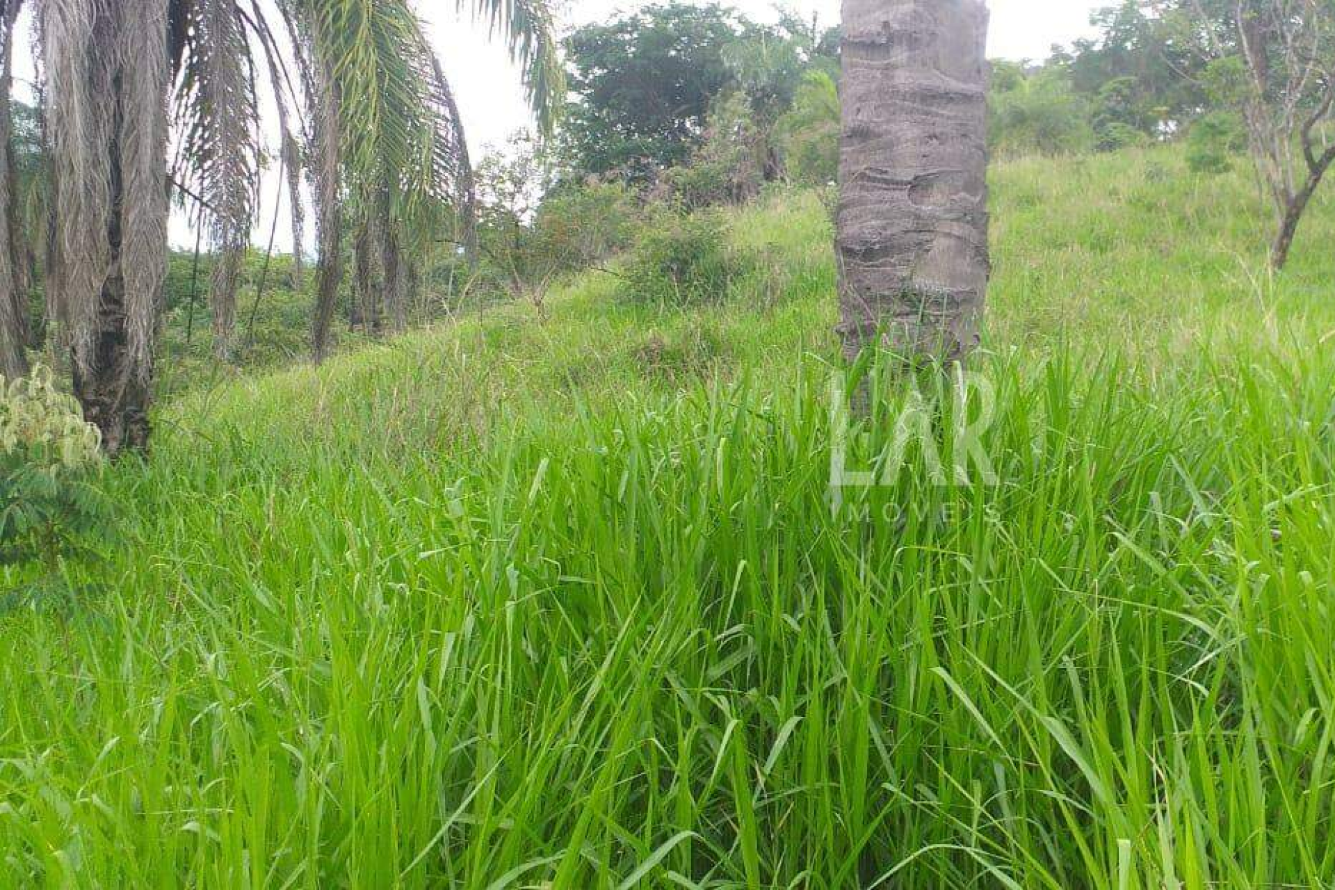 Lote - Terreno à venda, Bicas, Santa Luzia - MG