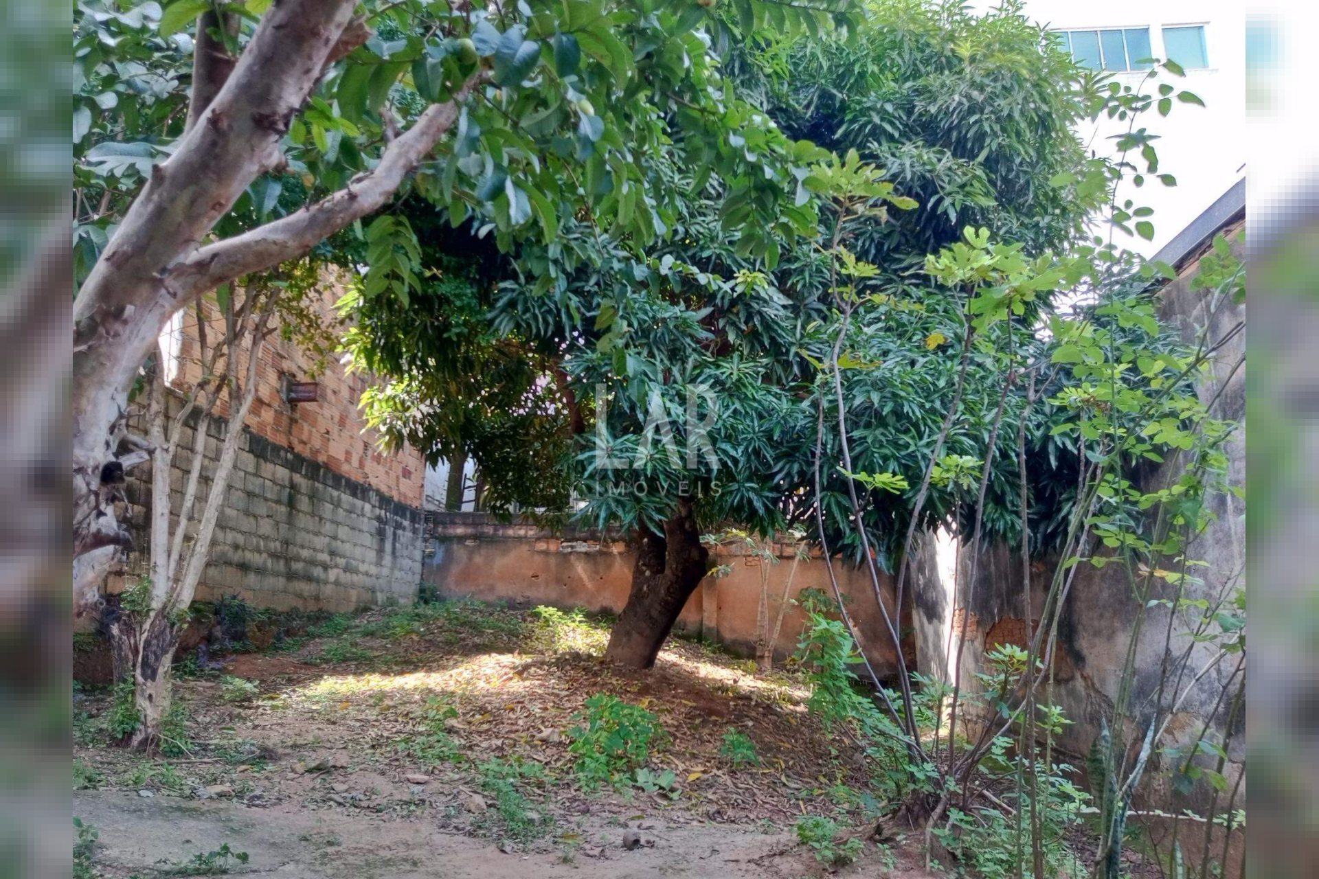 Casa de 4 quartos à venda, Santo Antônio, Belo Horizonte - MG