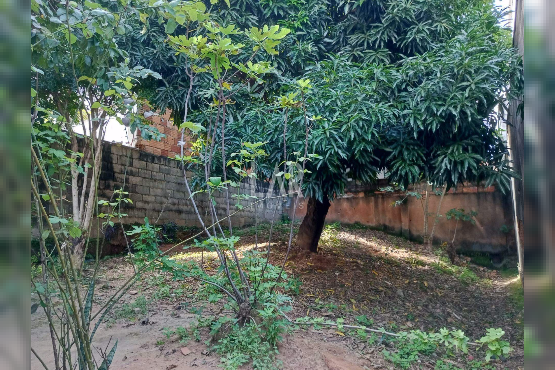 Casa de 4 quartos à venda, Santo Antônio, Belo Horizonte - MG