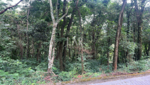 Lote em Condomínio à venda, Retiro do Chalé, Brumadinho - MG