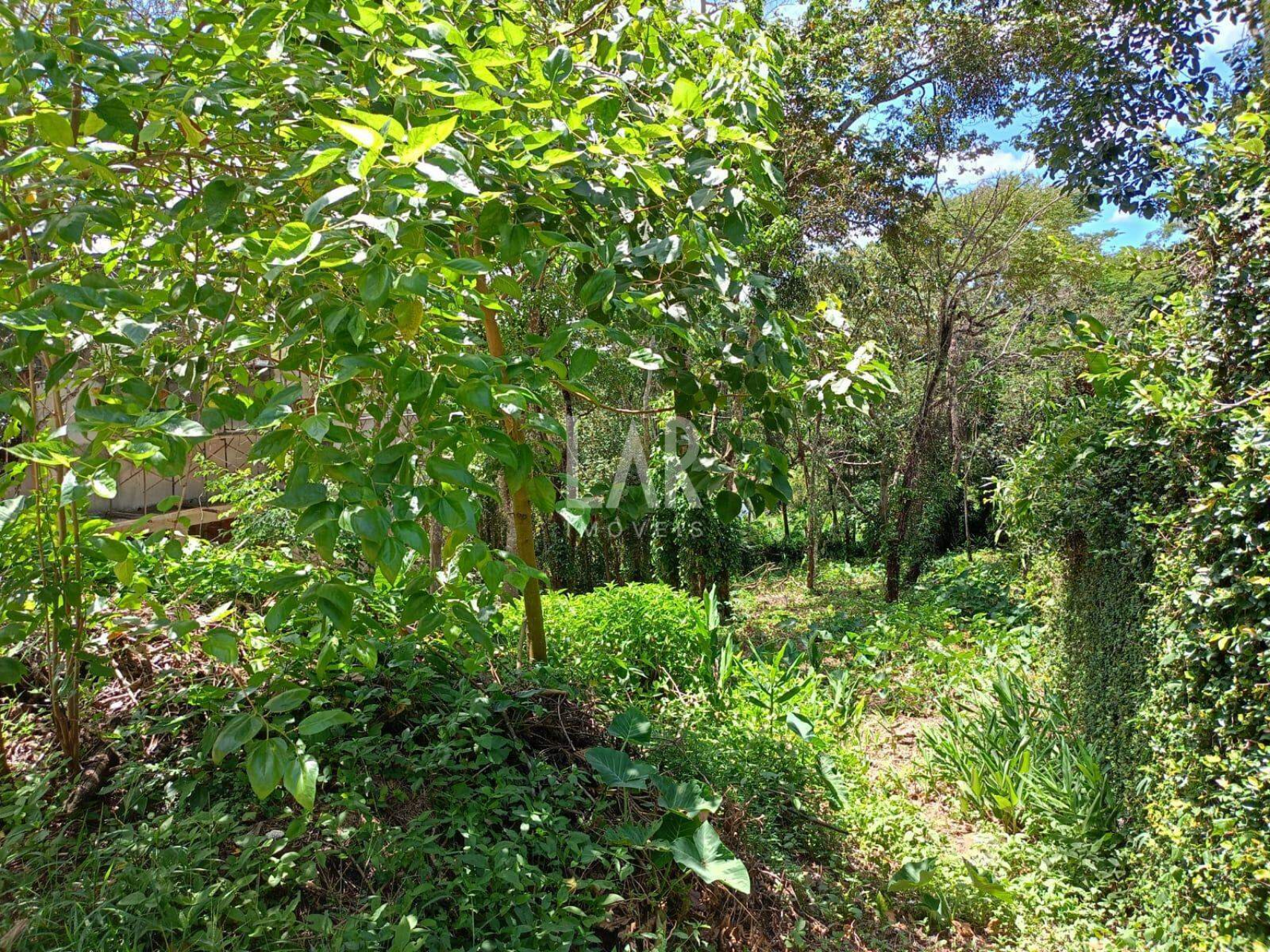 Lote em Condomínio à venda, Ville de Montagne, Nova Lima - MG