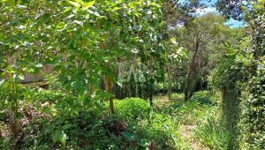 Lote em Condomínio à venda, Ville de Montagne, Nova Lima - MG