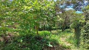 Lote em Condomínio à venda, Ville de Montagne, Nova Lima - MG