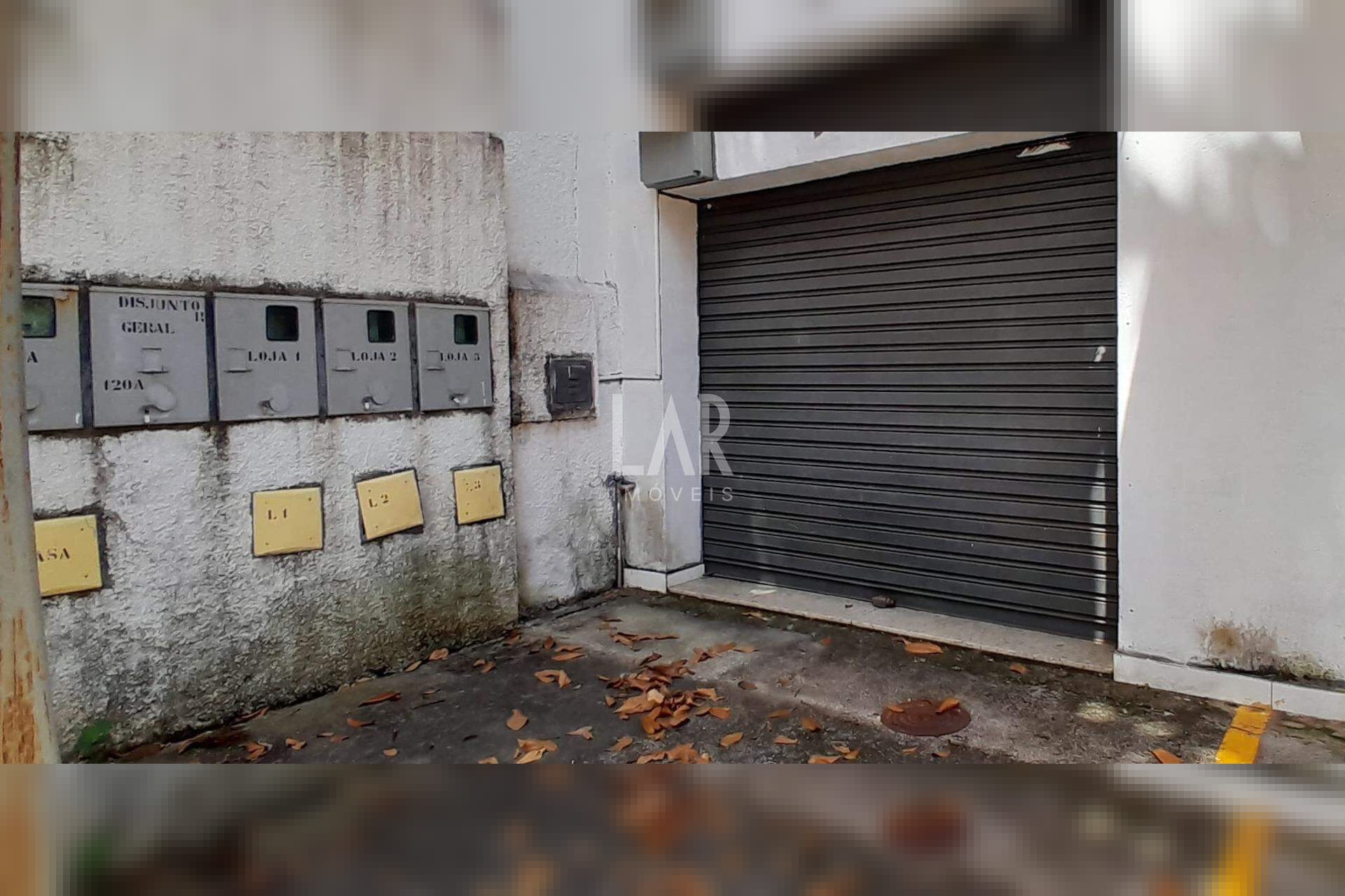 Loja para alugar, Santo Antônio, Belo Horizonte - MG