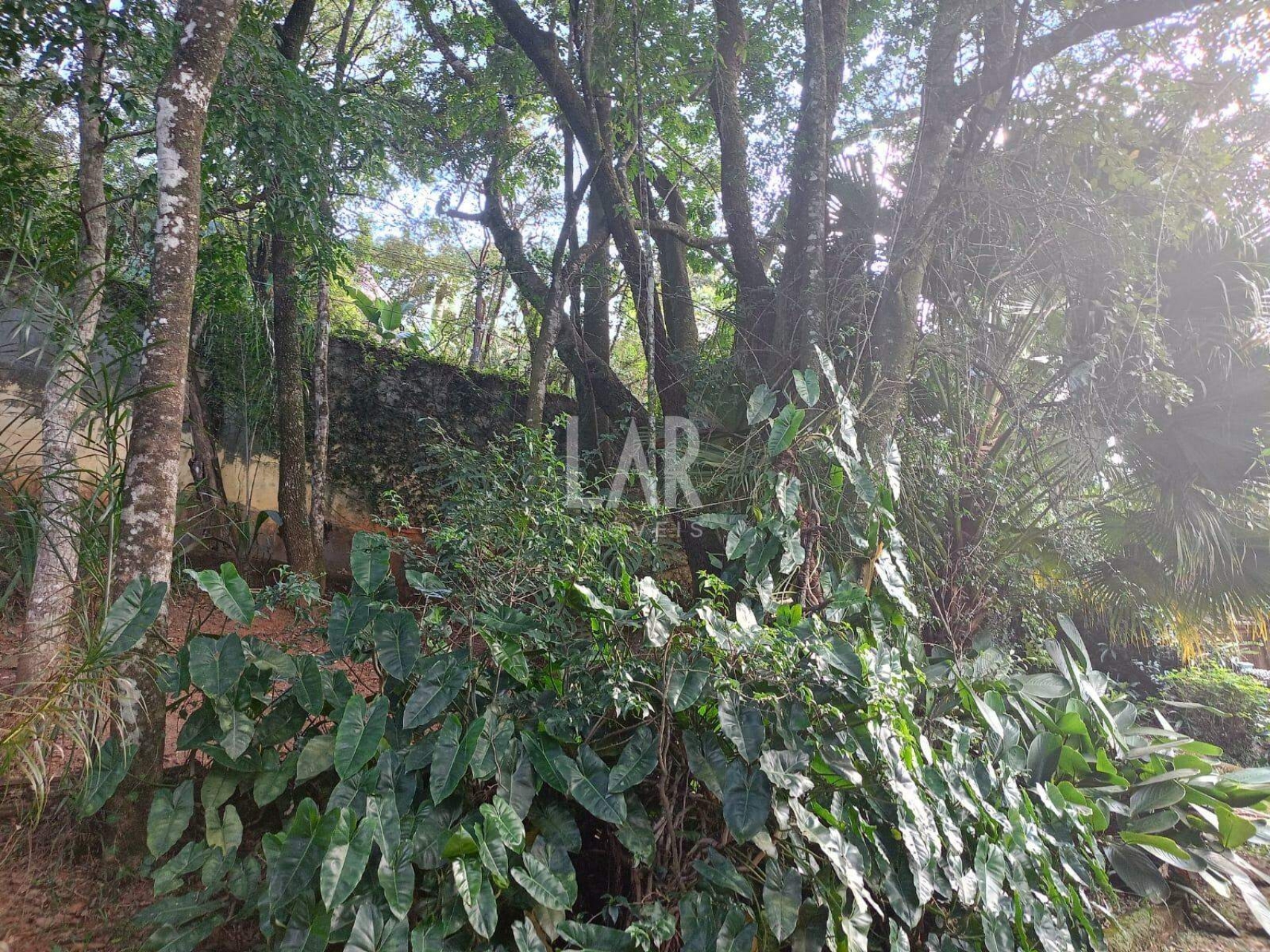 Lote em Condomínio à venda, Bosque da Ribeira, Nova Lima - MG