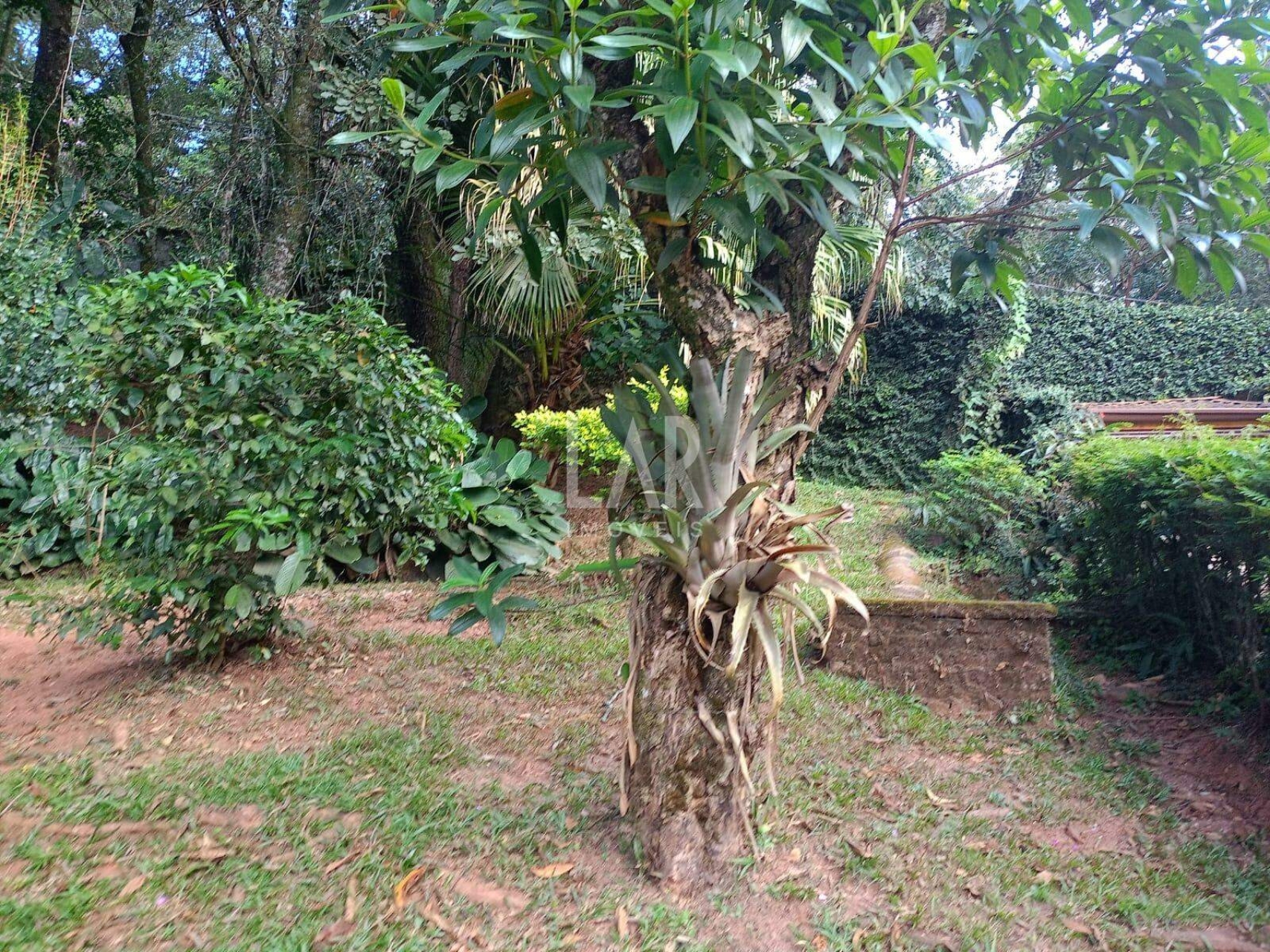 Lote em Condomínio à venda, Bosque da Ribeira, Nova Lima - MG