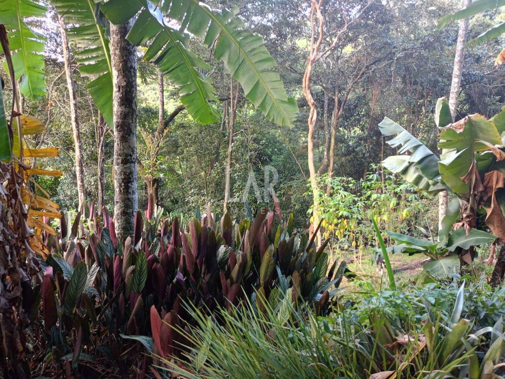Lote em Condomínio à venda, Bosque da Ribeira, Nova Lima - MG