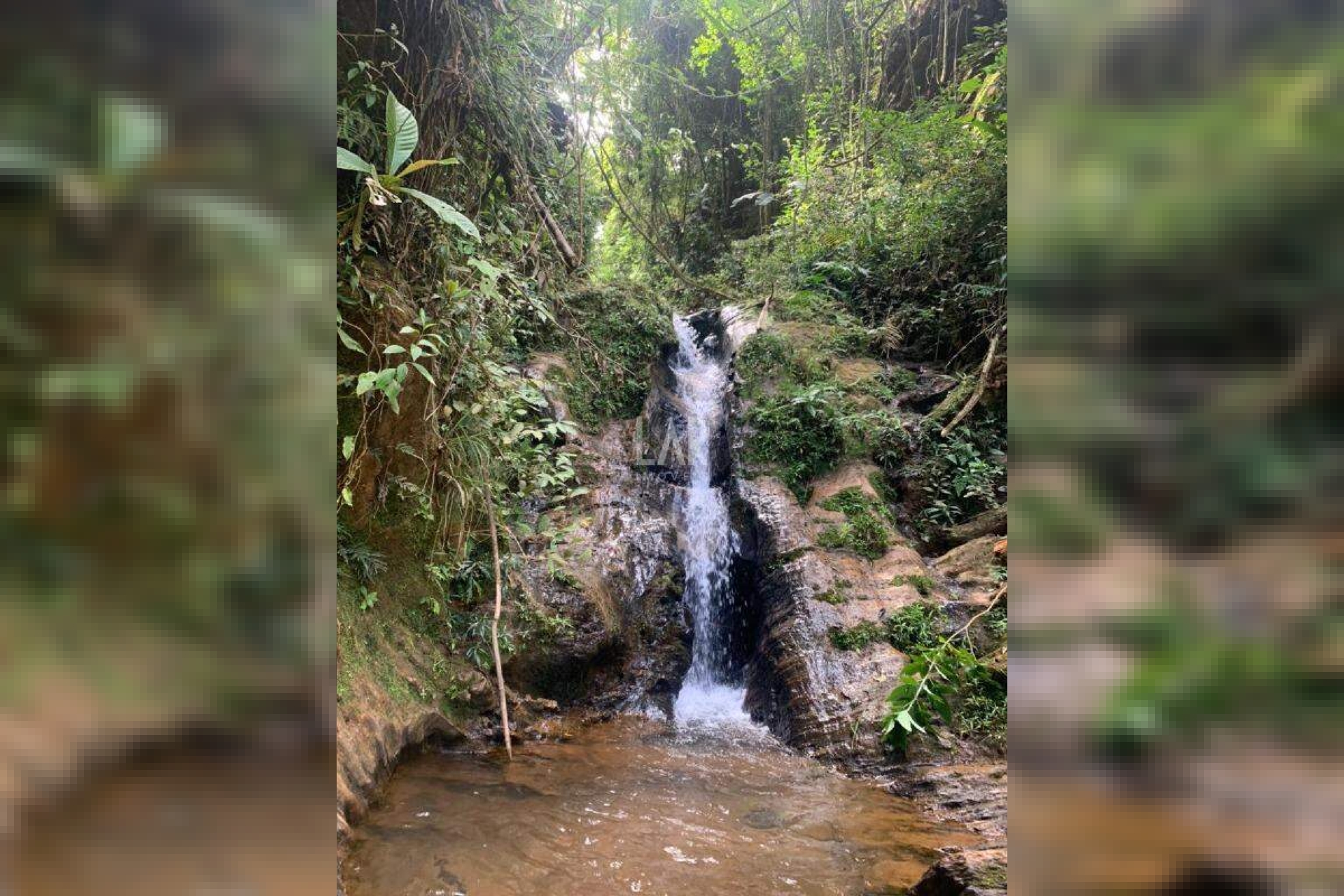 Lote em Condomínio à venda, Bosque da Ribeira, Nova Lima - MG