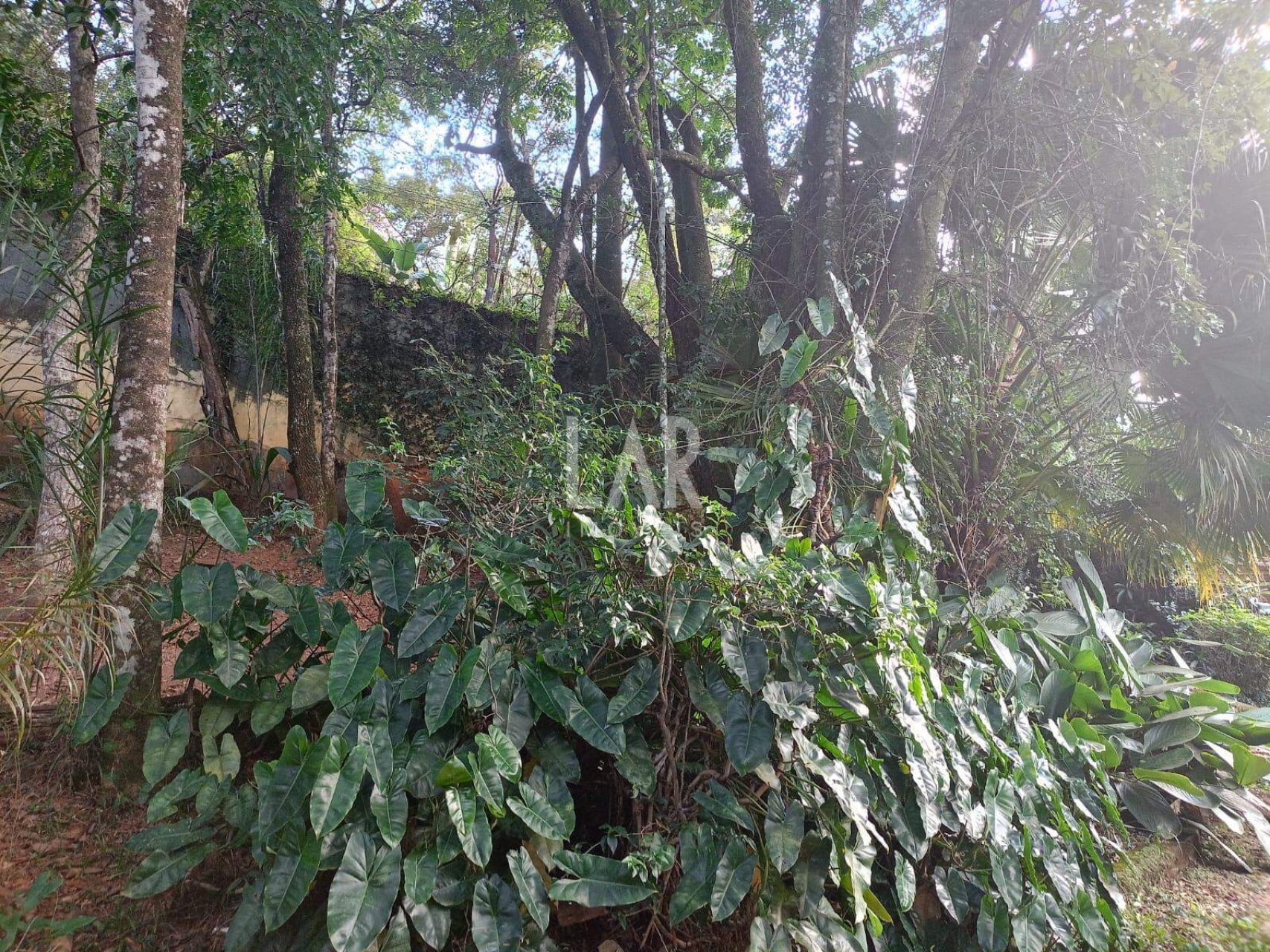 Lote em Condomínio à venda, Bosque da Ribeira, Nova Lima - MG