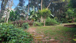 Imóveis à venda em Bosque da Ribeira