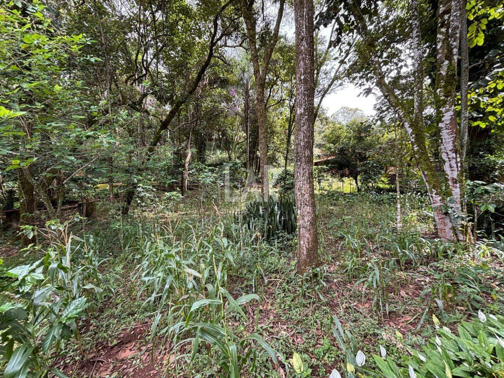 Casa de 7 quartos à venda, Jardins de Petrópolis, Nova Lima - MG