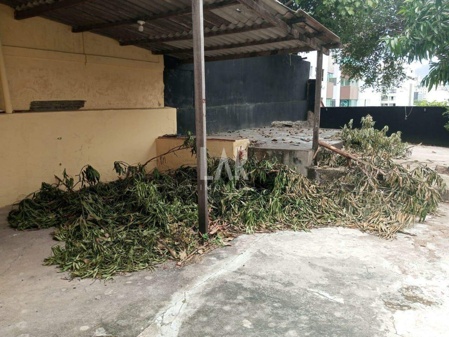 Casa à venda, Floresta, Belo Horizonte - MG