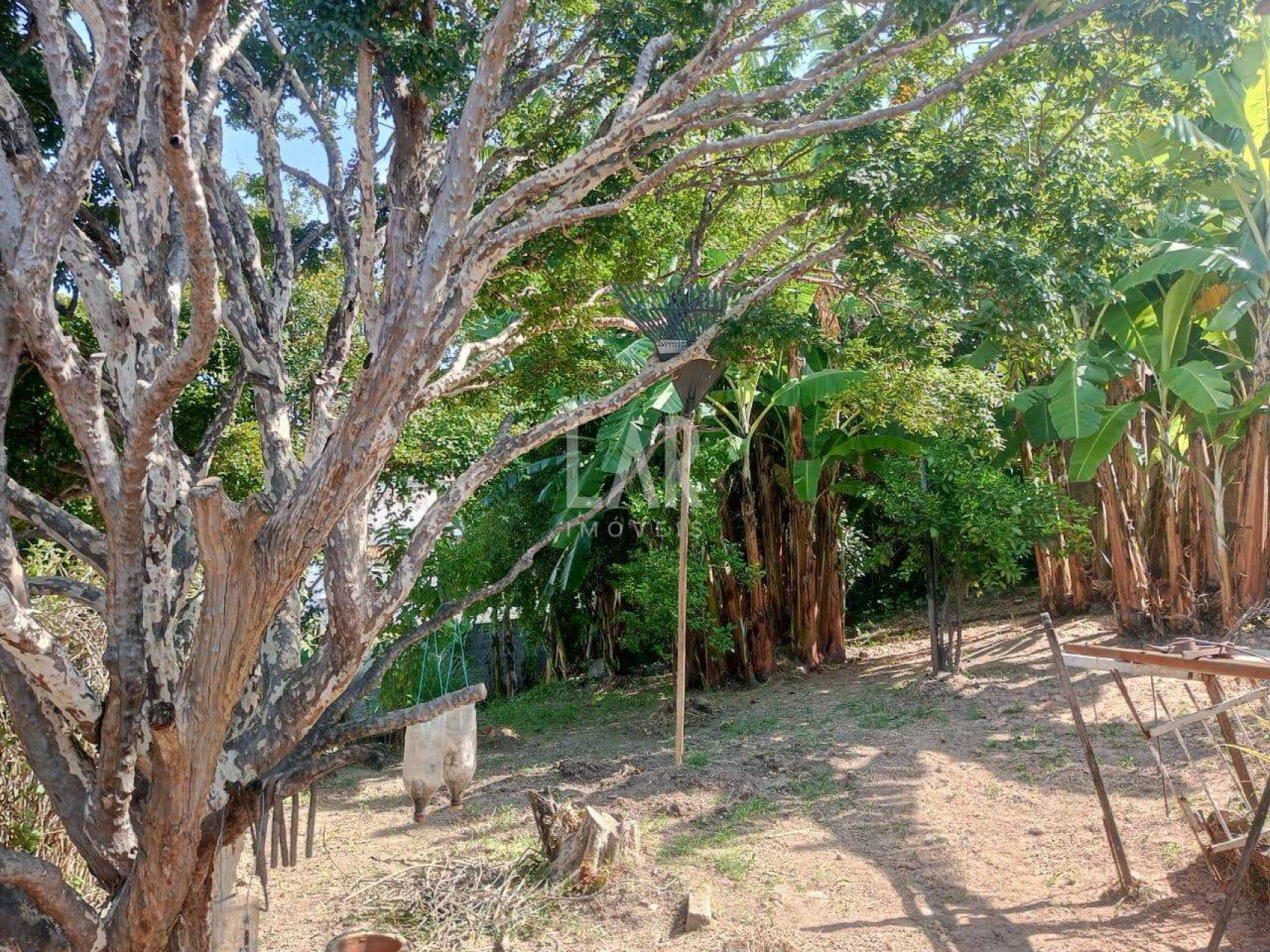 Casa de 3 quartos à venda, Renascença, Belo Horizonte - MG
