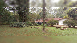 Casa de 3 quartos à venda, Lagoa do Miguelão, Nova Lima - MG