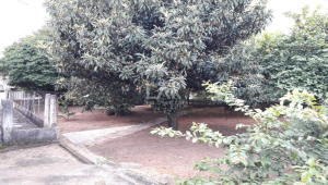 Lote - Terreno à venda, Pompéia, Belo Horizonte - MG