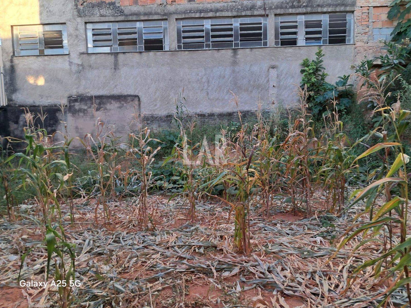 Lote - Terreno à venda, Carlos Prates, Belo Horizonte - MG