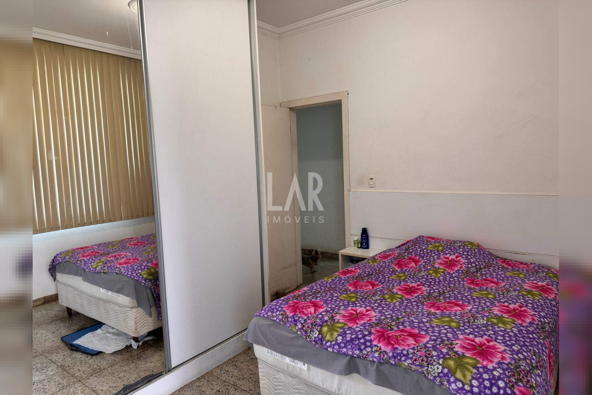 Casa de 4 quartos à venda, Padre Eustáquio, Belo Horizonte - MG